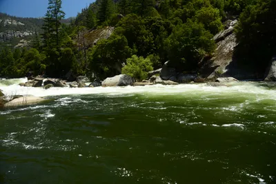 DSC_2259 (Large).JPG